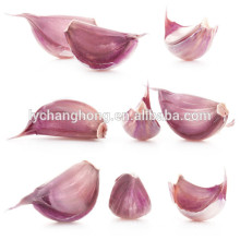 4cm Normal white garlic of high quality with low price